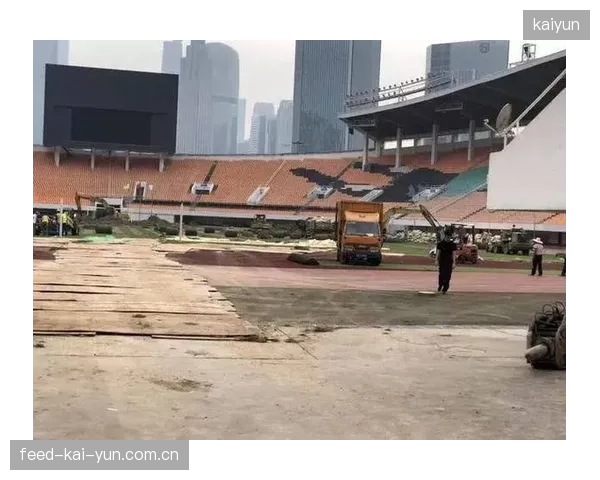 决赛场地草皮质量成关键变数，技术型中场脚踝稳定性面临考验。
